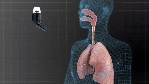 Animation utilisation AirPhysio